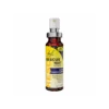 Fleurs De Bach Rescue Nuit Spray Sans Alcool 20ml -PARASANTÉ Boutique fleurs de bach rescue nuit spray sans alcool 20ml