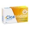 Cicatridine 10 Suppositoires