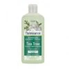 Natessance Shampooing équilibrant Purifiant Tea Tree 250ml -PARASANTÉ Boutique natessance shampooing equilibrant purifiant tea tree 250ml