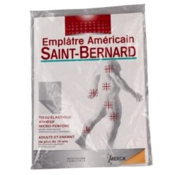 Saint Bernard Emplâtre Grand Modèle 19 X 30cm